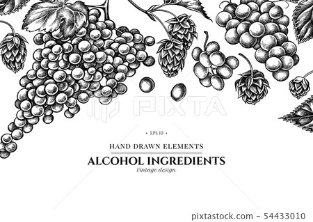 Floral design with black and white grapes, hop 54433010