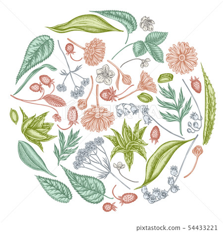 Round floral design with pastel aloe, calendula, lily of the valley, nettle, strawberry, valerian 54433221