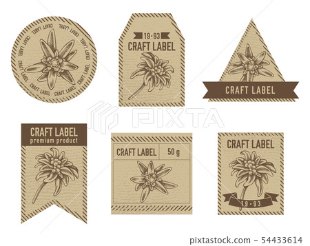 Craft labels with edelweiss stock illustration art 54433614