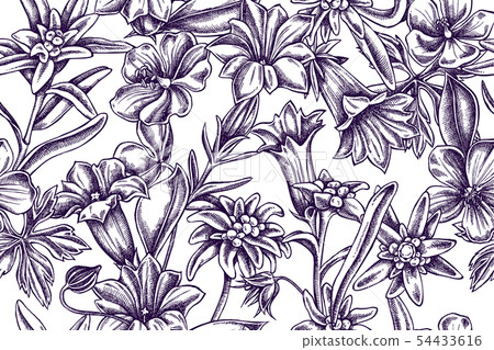 Artistic pattern with edelweiss, meadow geranium, gentiana 54433616