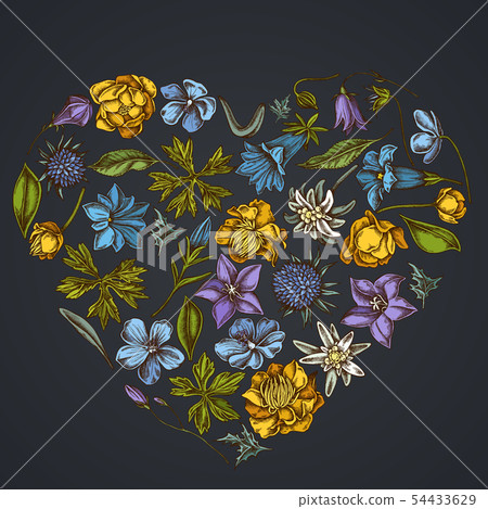 Heart floral design on dark background with bellflower, edelweiss, globethistle, globeflower, meadow Heart floral design on dark background with bellflower, edelweiss, globethistle, globeflower, meadow 54433629