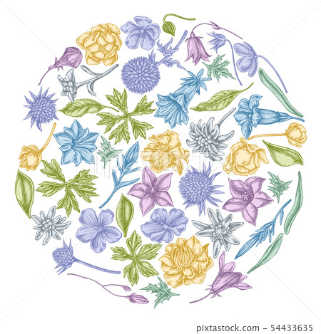 Round floral design with pastel bellflower,... - Stock Illustration ...