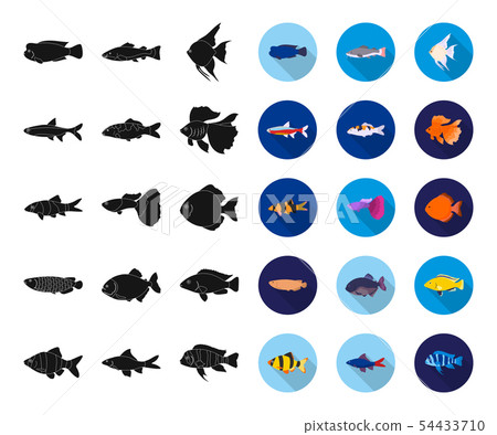 Different types of fish black,flat icons in set collection for design. Marine and aquarium fish Different types of fish black,flat icons in set collection for design. Marine and aquarium fish 54433710