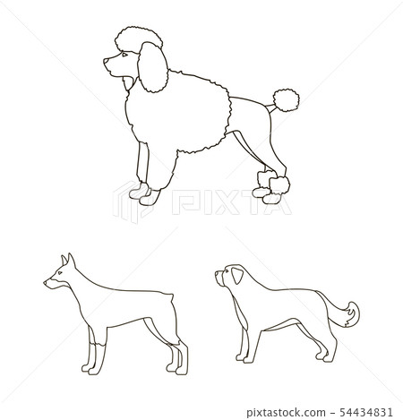 Vector illustration of cute and puppy sign. Collection of cute and animal vector icon for stock. 54434831