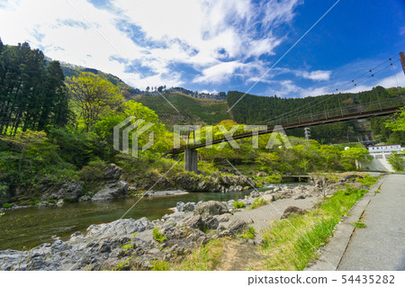 新鮮的綠色Mitake穀食人魔橋樑 54435282