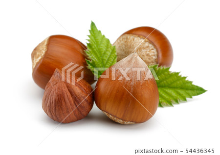 Hazelnut with leaf isolated on white Hazelnut with leaf isolated on white 54436345