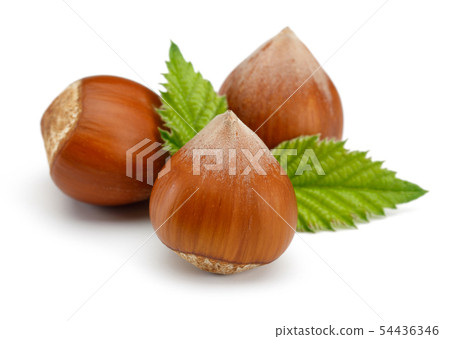 Hazelnut with leaf isolated on white Hazelnut with leaf isolated on white 54436346