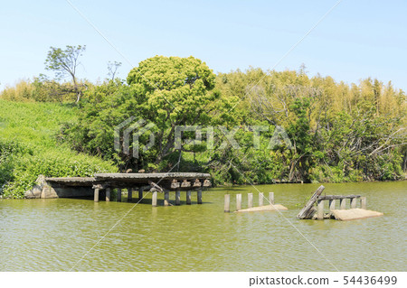 Osaka-Irisuke Tomb-World Heritage-(Tankuki on Bridge) 54436499