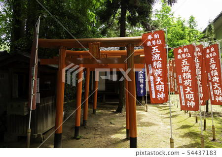 Goryu Goshinin 5 Goryu Inari Daimyojin Shinkumano Miyama Kurashiki City岡山縣 Goryu Goshinin 5 Goryu Inari Daimyojin Shinkumano Miyama Kurashiki City岡山縣 54437183