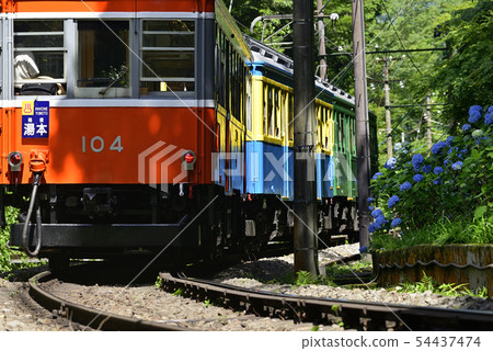 Hakone Tozan Railway and Hydrangea [Kanagawa] Near Miyanoshita [2019] 54437474