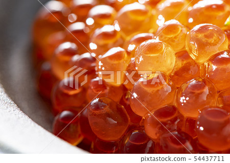 Soy sauce marinated fresh and delicious Soy sauce marinated fresh and delicious 54437711