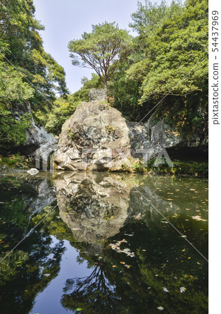 Hyodo Chun, Go Sali Forest Route, Seogwipo City, Jeju Island 54437969