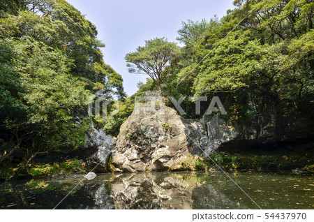 Hyodo Chun, Go Sali Forest Route, Seogwipo City, Jeju Island 54437970