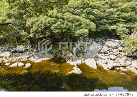Hyodo Chun, Go Sali Forest Route, Seogwipo City, Jeju Island 54437972
