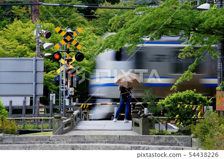 鐵路和四季的夏天 鐵路和四季的夏天 54438226