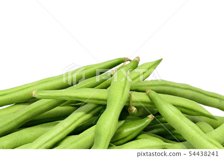 豆類(深度成分) 豆類(深度成分) 54438241