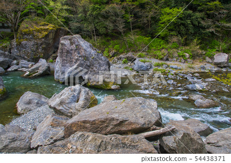 Fresh green Mitake Gorge 54438371