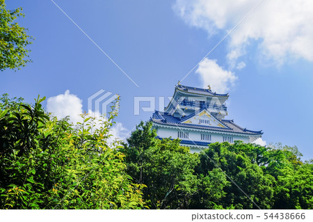 岐阜城堡在夏天 54438666