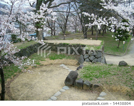 飯山Jyogata形虎口 54438804