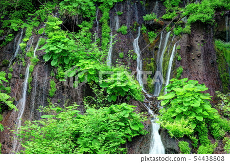 Fresh green Toryu Falls 54438808