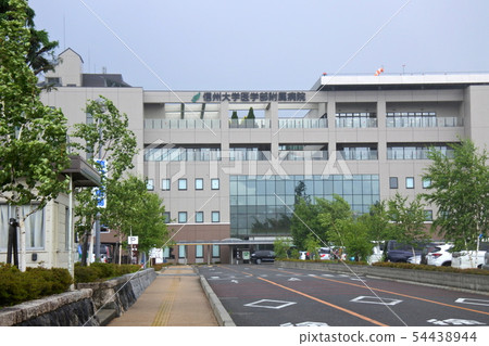 Shinshu University 54438944