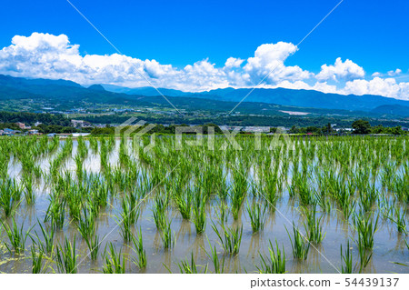 《Yamanashi Prefecture》 Irido cloud and rural scenery 《Yamanashi Prefecture》 Irido cloud and rural scenery 54439137