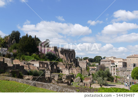 Roman Forum Rome Italy Roman Forum Rome Italy 54439497