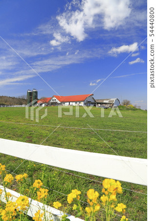 春季母親農場 54440800