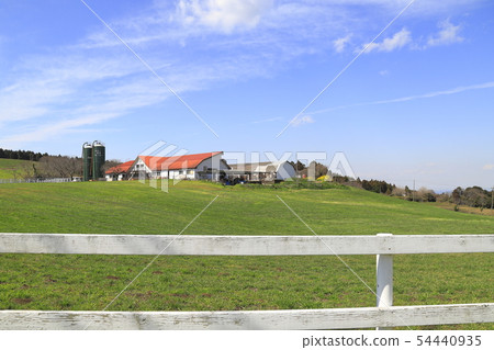 千葉縣的母親牧場 54440935