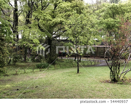 Toraya工作室的風景 54440937