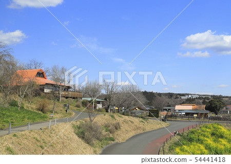 Mother ranch in spring Great slope of flowers Mother ranch in spring Great slope of flowers 54441418