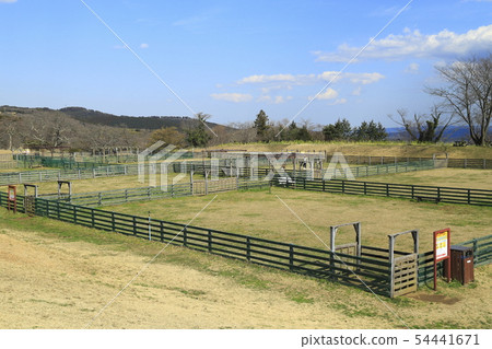 Mother ranch dog run Mother ranch dog run 54441671
