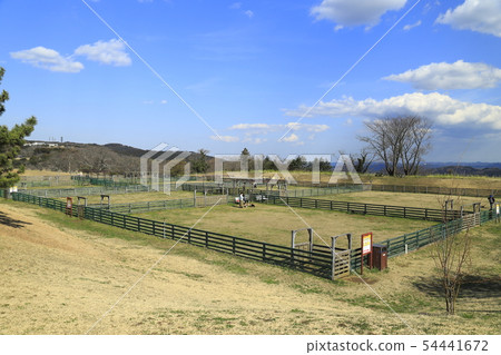 Mother ranch dog run Mother ranch dog run 54441672