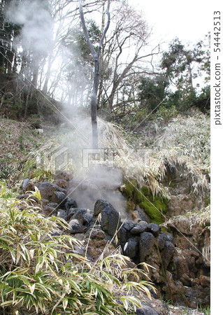 Onikobe/Kaketsuzumi 54442513