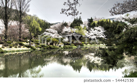 第二條信息 54442530