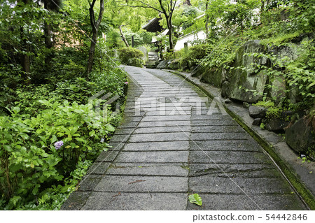 Anyo-ji Ama no Mori Sando Sanmon Kurashiki,Okayama Pref.Asahara Anyo-ji Ama no Mori Sando Sanmon Kurashiki,Okayama Pref.Asahara 54442846