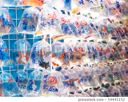 People's Republic of China, Hong Kong Special Administrative Region / Mong Kok-Goldfish Street People's Republic of China, Hong Kong Special Administrative Region / Mong Kok-Goldfish Street 54443152