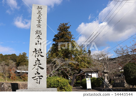 Autumn scenery of Negoro Autumn scenery of Negoro 54443544