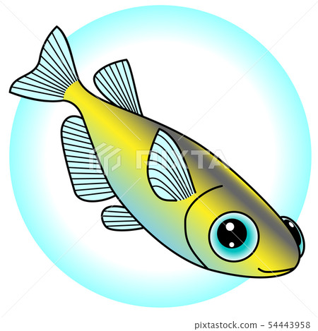 Medaka的例證 54443958