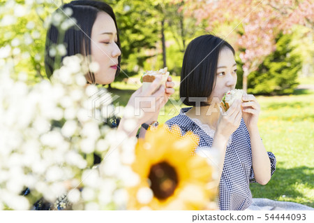 Picnic image 54444093