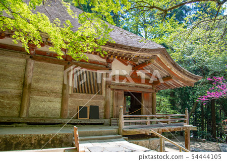 奈良女子高野新綠色Murouji寺劍道 54444105