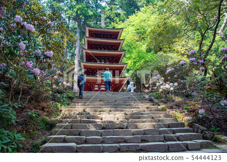 奈良婦女高野新綠色Murouji寺五層塔和Shakunage 54444123