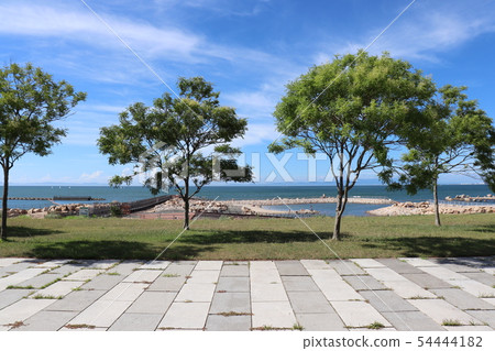 Shin Sato Park 54444182