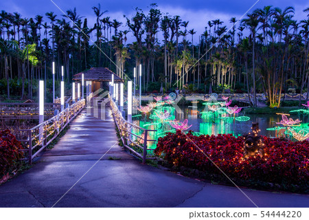 Okinawa Winter Southeastern Botanical Garden Water paradise pond illumination Okinawa Winter Southeastern Botanical Garden Water paradise pond illumination 54444220