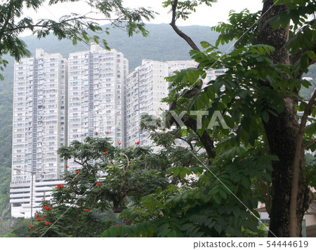 People's Republic of China, Hong Kong Special Administrative Region 54444619