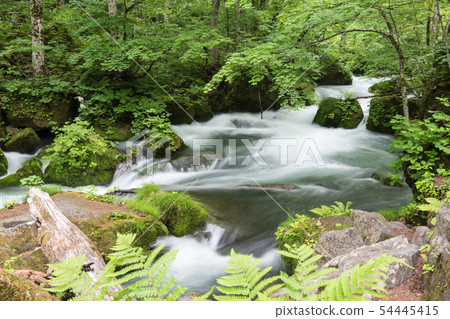 阿修羅的流動 54445415