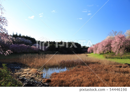 Nihonchi風格的土地 Nihonchi風格的土地 54446198