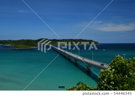 From Tsunoshima From Tsunoshima 54446345