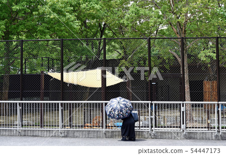 cage 54447173