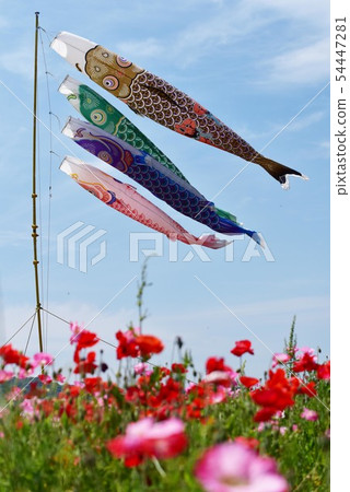 Carp streamer 1383 54447281